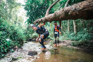 BIB: 
                            <button type="button" onclick="openModal(25368792)" class="btn btn-primary btn-sm float-right btn-popup" data-toggle="modal" data-target=".modal-high-quality">
                        <i class="fas fa-shopping-cart"></i> Add to Cart
                    </button>
                                            <button type="button" onclick="isThisMe(25368792, true)" class="btn btn-success btn-sm float-right btn-popup btn-isme hidden" data-toggle="tooltip" data-placement="bottom" title="นี่คือรูปของคุณใช่ไหม คลิกที่นี่เพื่อเอาเข้าอัลบั้ม">
                        <i class="fas fa-plus"></i> Add to album
                    </button>
                    <button type="button" onclick="isThisMe(25368792, false)" class="btn btn-warning btn-sm float-right btn-popup btn-isnotme hidden">
                        <i class="fas fa-ban"></i> Remove from album
                    </button>